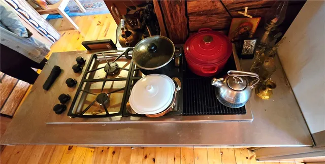 $500,000 | 781 Charcoal Road, Roxbury, NY 12167