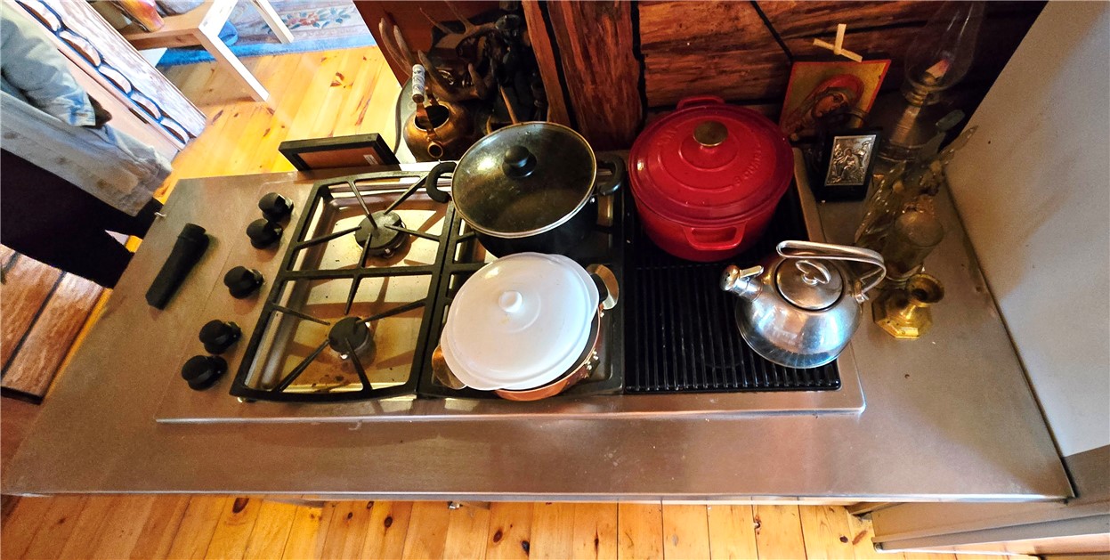 781 Charcoal Road Roxbury, NY 12167 - Photo 38 of 49