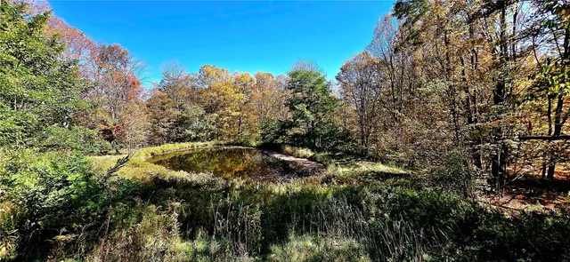 $500,000 | 781 Charcoal Road, Roxbury, NY 12167