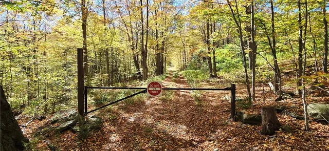 $500,000 | 781 Charcoal Road, Roxbury, NY 12167