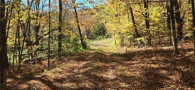 $500,000 | 781 Charcoal Road, Roxbury, NY 12167