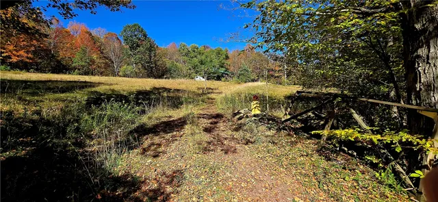 $500,000 | 781 Charcoal Road, Roxbury, NY 12167