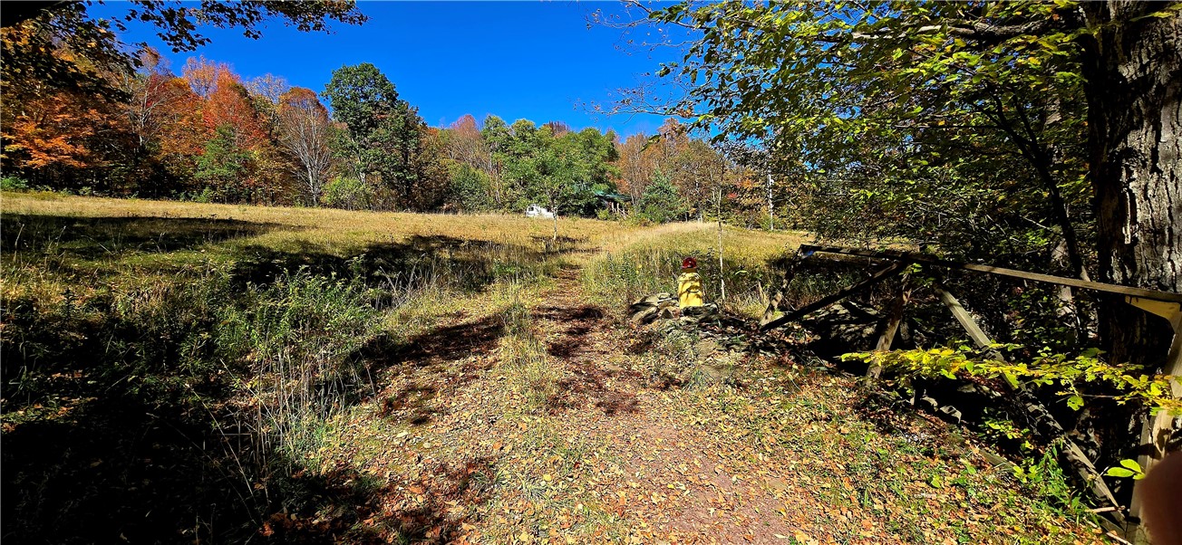 781 Charcoal Road Roxbury, NY 12167 - Photo 48 of 49