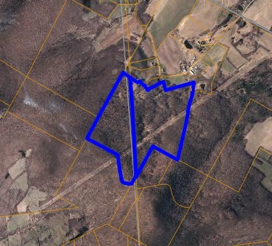 781 Charcoal Road Roxbury, NY 12167 - Photo 49 of 49