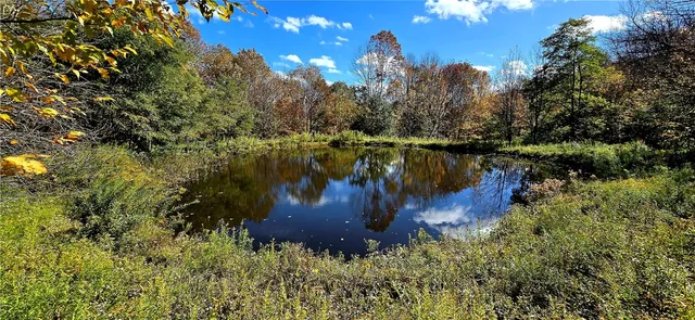 $500,000 | 781 Charcoal Road, Roxbury, NY 12167