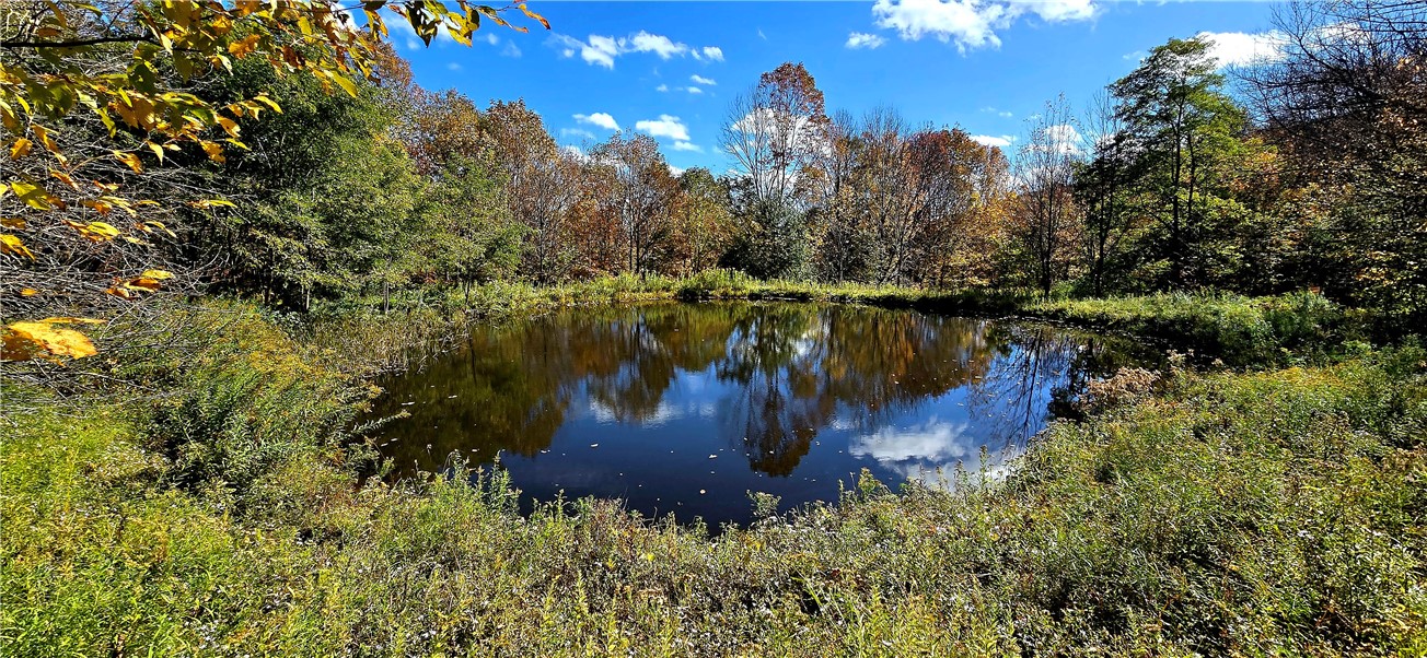 781 Charcoal Road Roxbury, NY 12167 - Photo 5 of 49