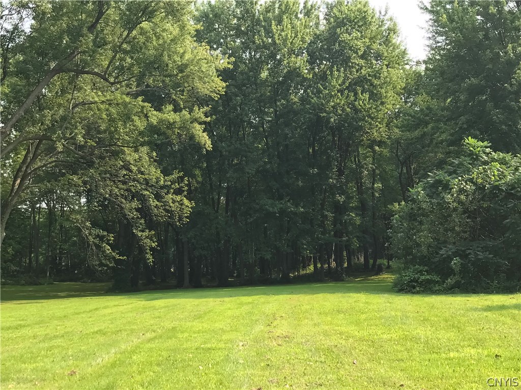 0 Duerr Road Liverpool, NY 13090 - Photo 1 of 1 Gallery Image 1