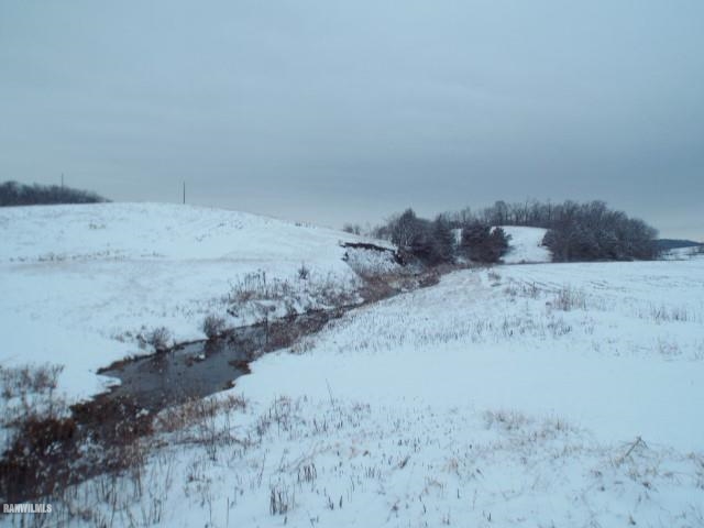 3247 West Longhollow Road Elizabeth, IL 61028 - Photo 1 of 6 a view of a dry field with trees in the background