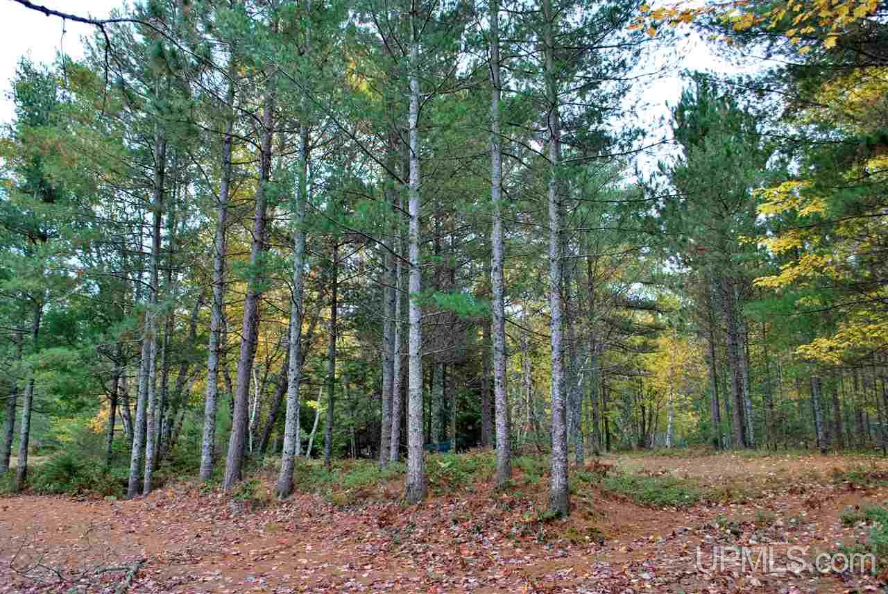 Tbd Little Rice Lake Rd (lot 18), Unit 18 Lake Linden, MI 49945 - Photo 25 of 34