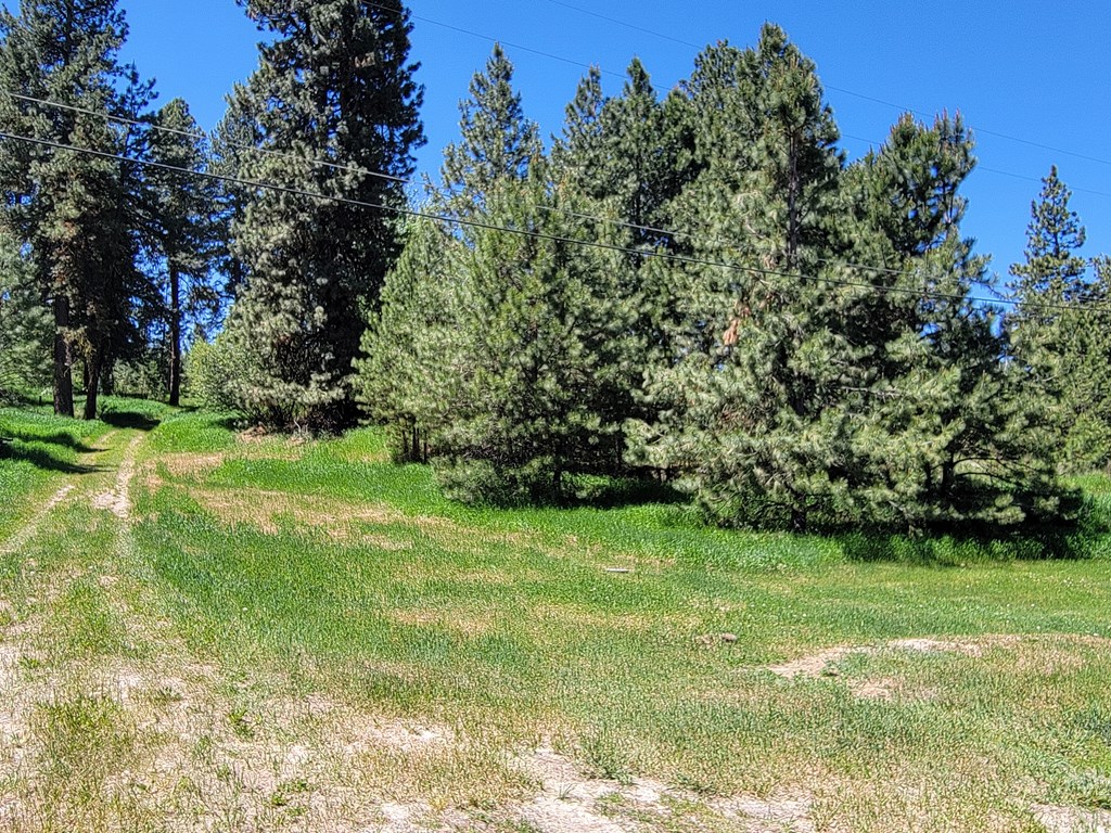 607-11 South Main Street Cascade, ID 83611 - Photo 18 of 23 Driveway to back parcel