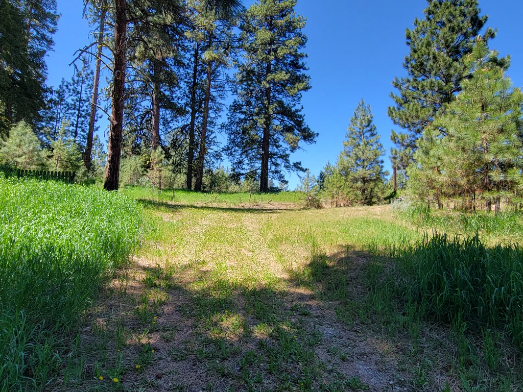 607-11 South Main Street Cascade, ID 83611 - Photo 19 of 23 .71 Acres