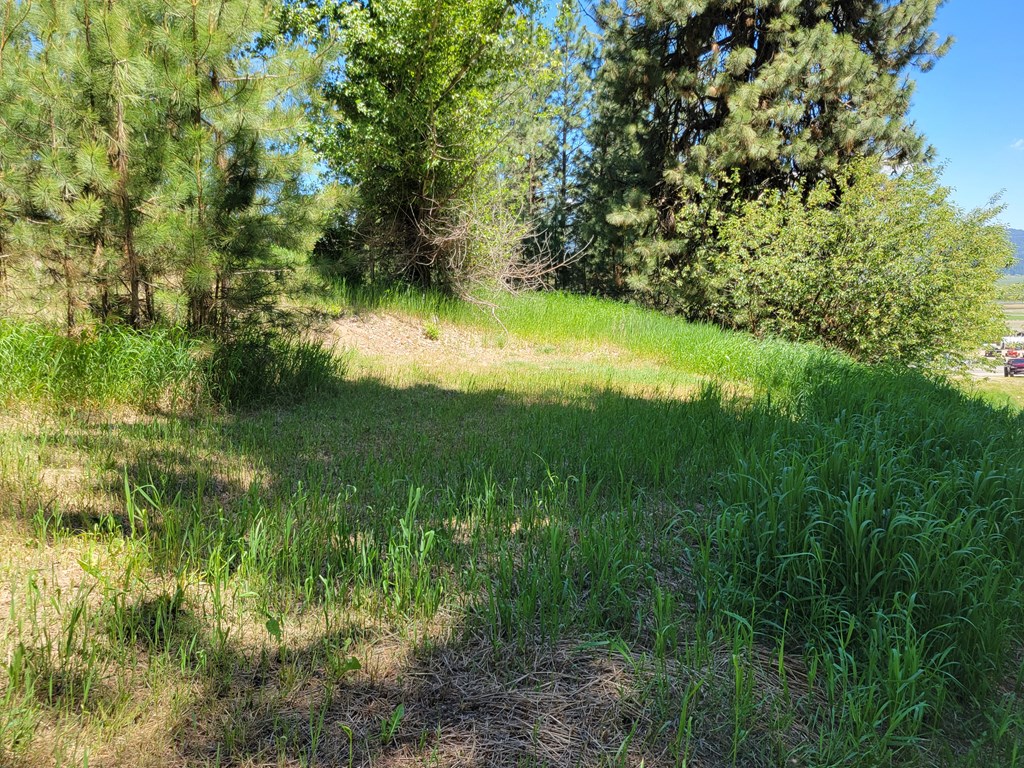 607-11 South Main Street Cascade, ID 83611 - Photo 23 of 23 Zoned Commercial/Residental