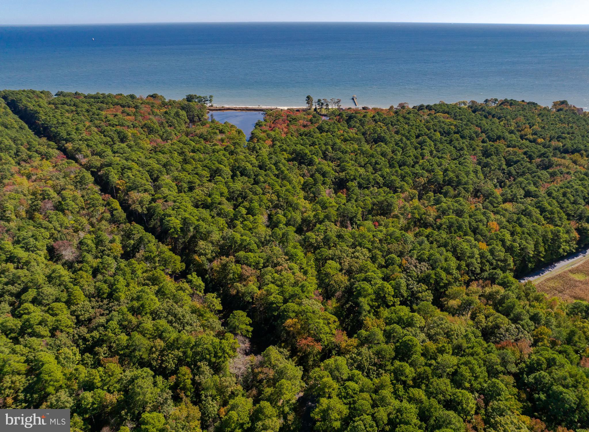 50645 Holly Point Road Dameron, MD 20628 - Photo 57 of 99