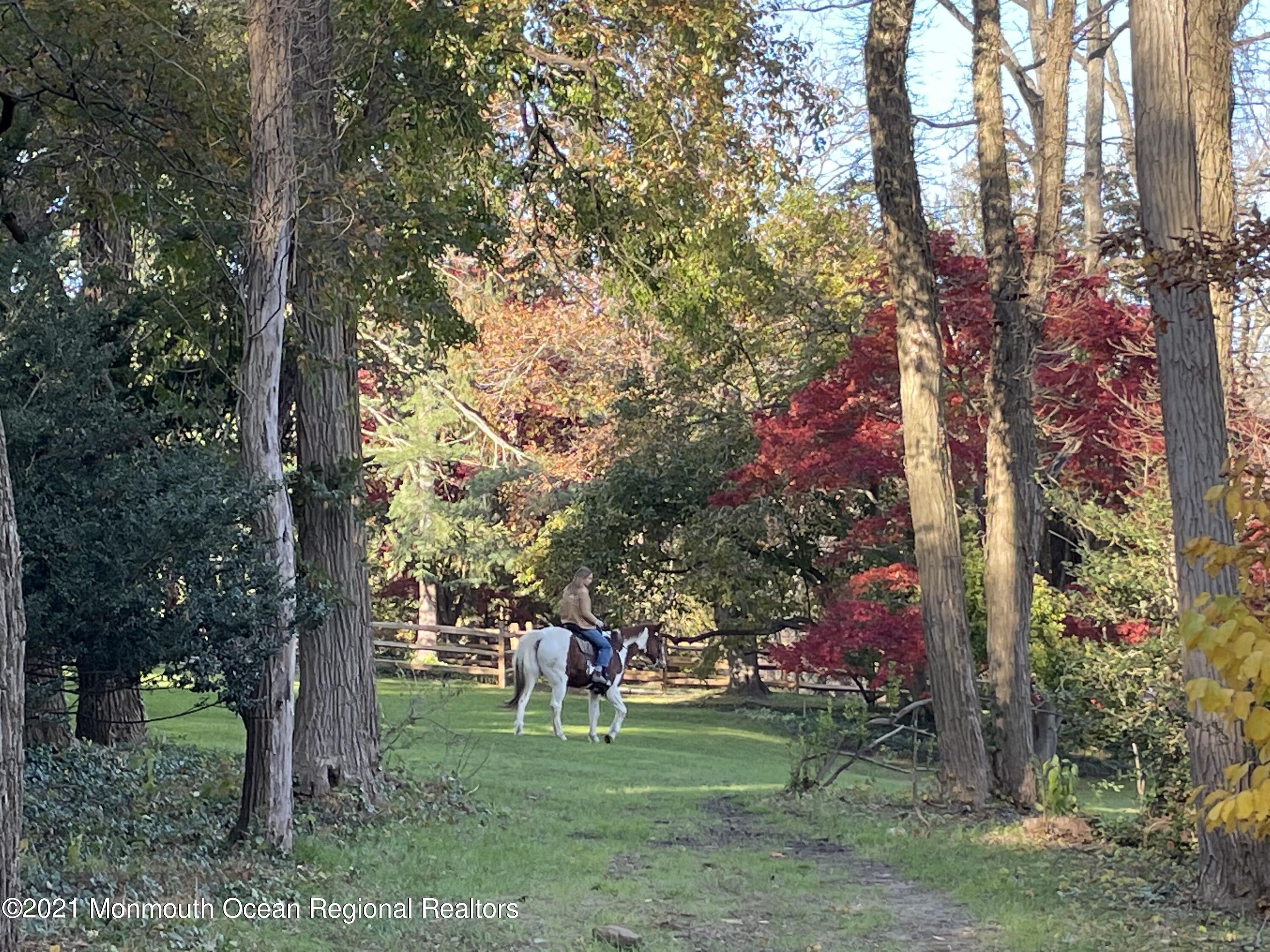 122 Browns Dock Road Middletown, NJ 07716 - Photo 47 of 54 a backyard of a house with lots of green space