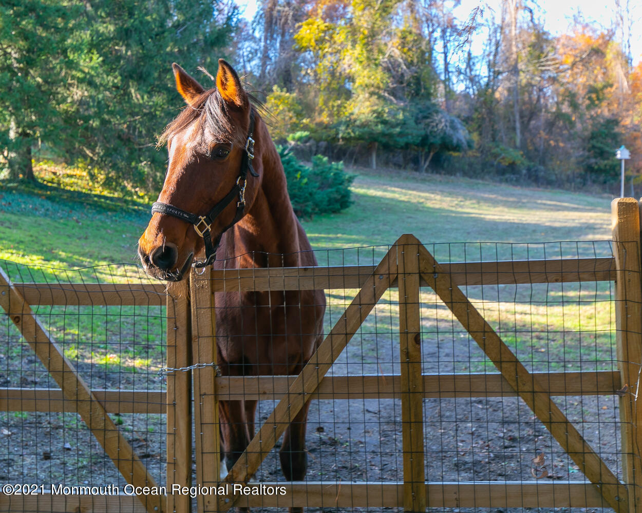 122 Browns Dock Road Middletown, NJ 07716 - Photo 51 of 54 a view of outdoor space