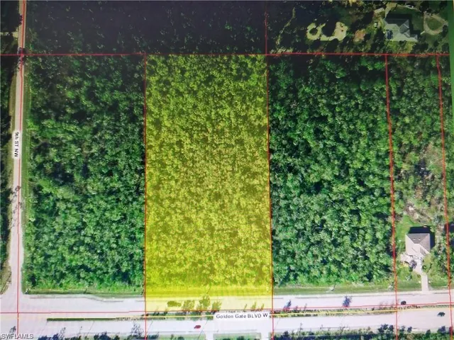 a view of a yard with plants