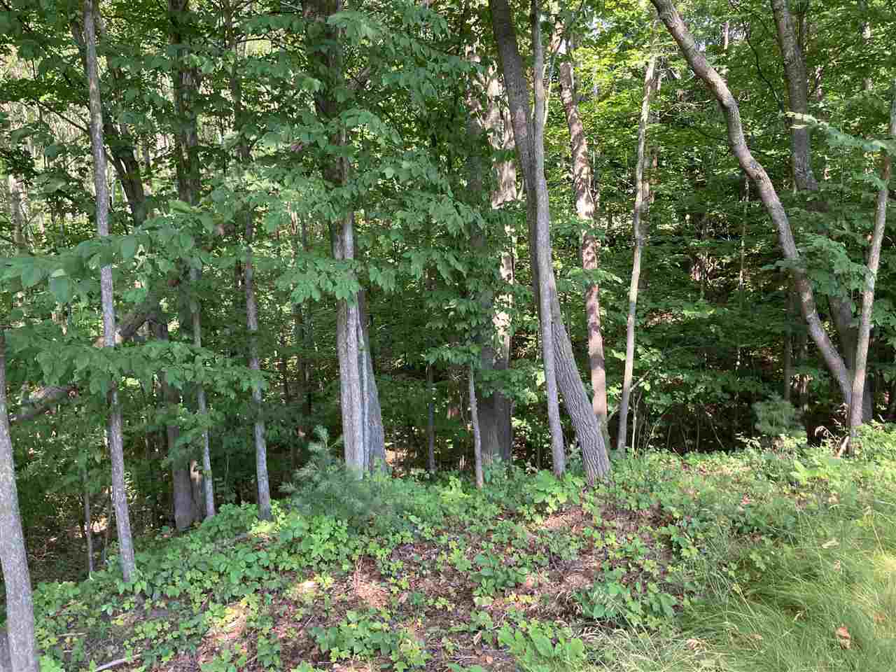 3755 Prouty Road Traverse City, MI 49686 - Photo 46 of 57 1887106-45.JPG