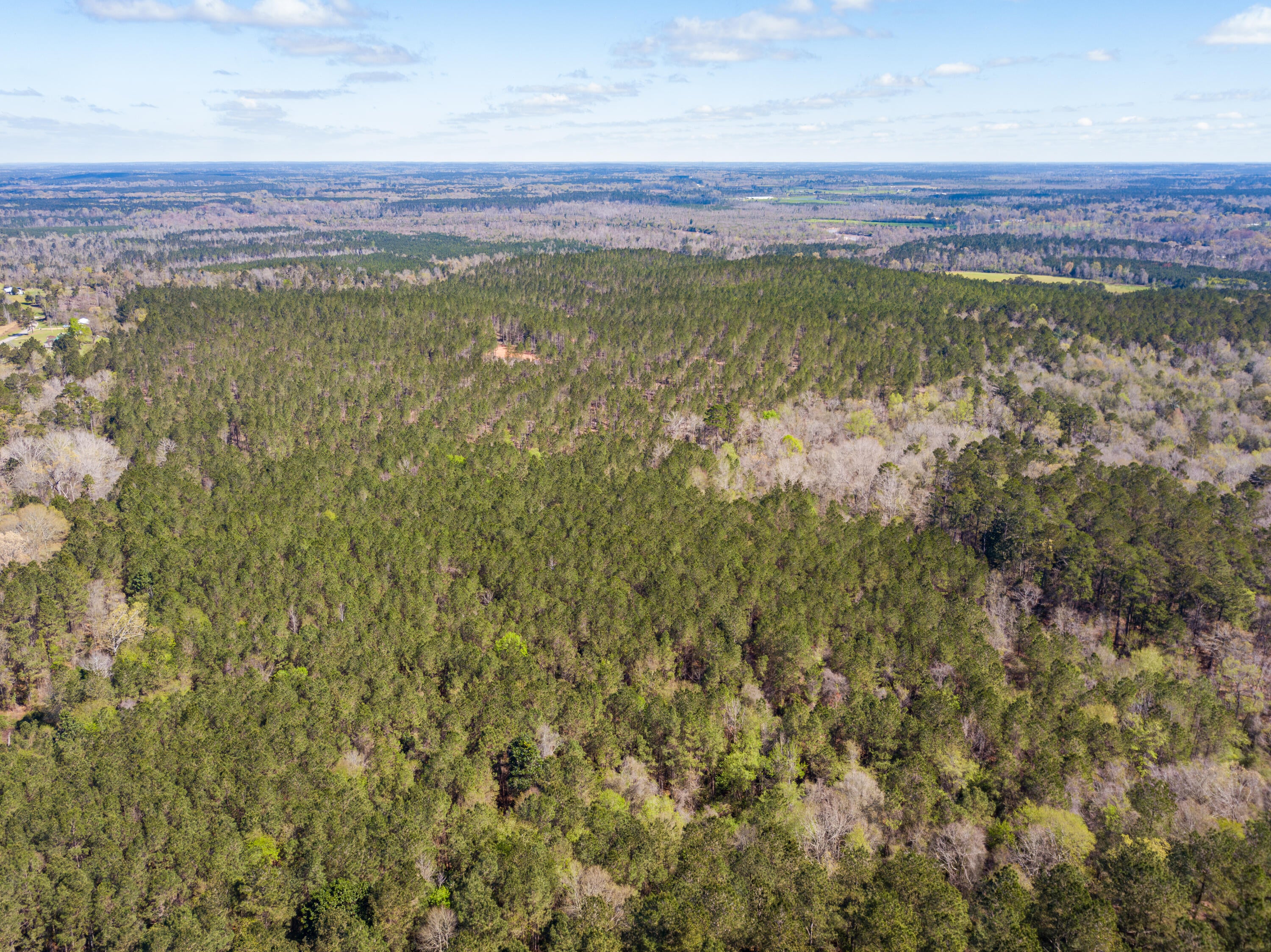 Lot 10 Timothy Road Ellisville, MS 39437 - Photo 3 of 17 Gallery Image 3