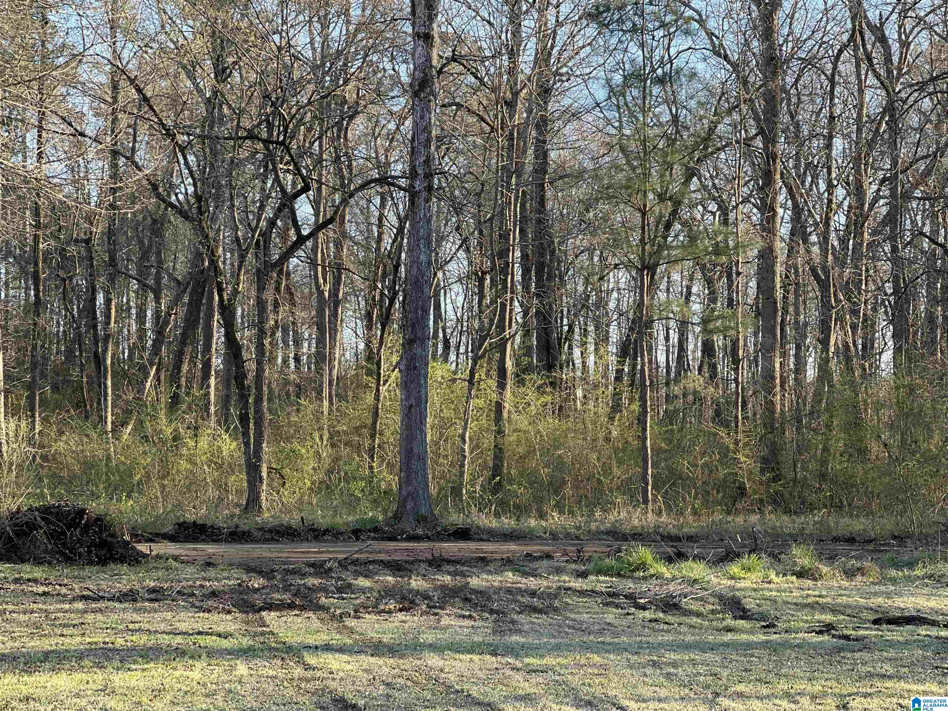 5541 Rockdale Road Bessemer, AL 35022 - Photo 20 of 20