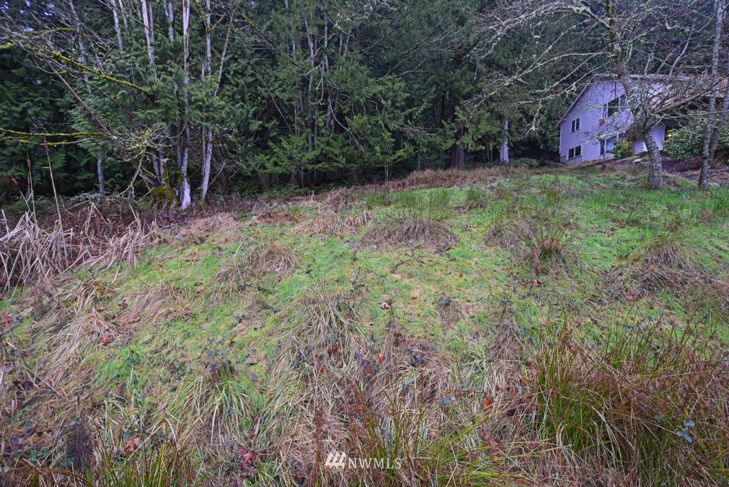 4 Misty Ridge Court Bellingham, WA 98229 - Photo 2 of 6 Gallery Image 2