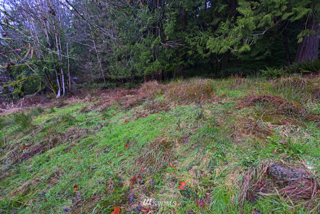 4 Misty Ridge Court Bellingham, WA 98229 - Photo 3 of 6 Gallery Image 3
