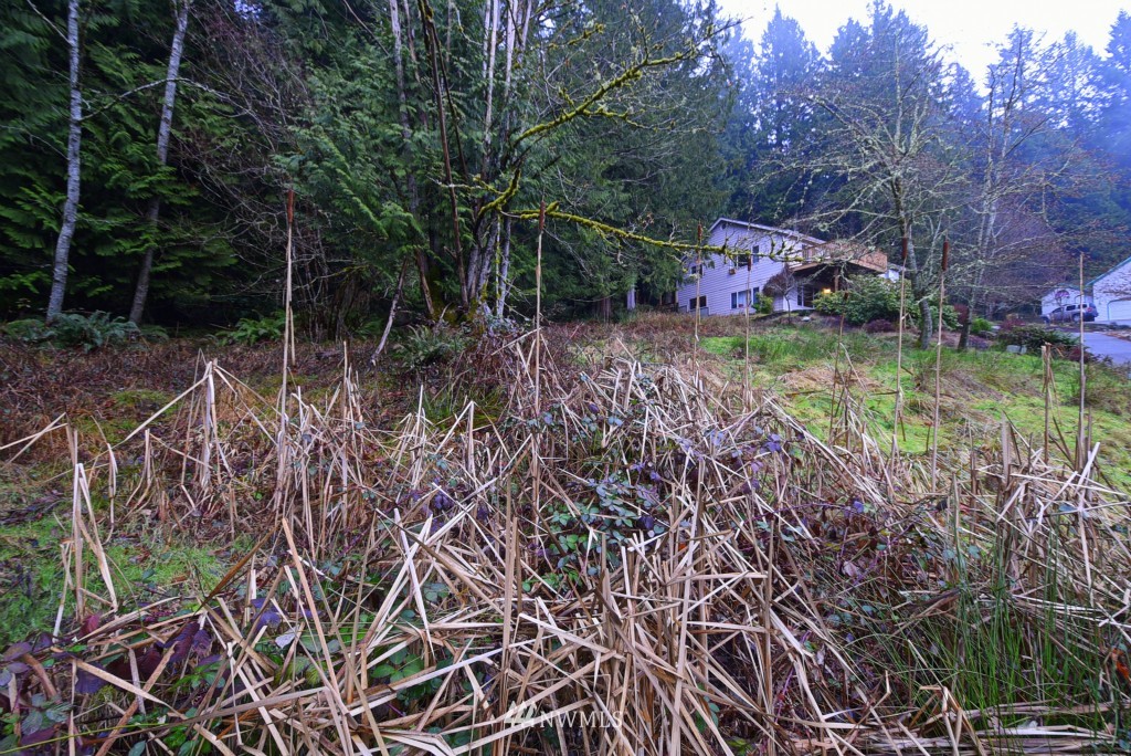 4 Misty Ridge Court Bellingham, WA 98229 - Photo 5 of 6 Gallery Image 5
