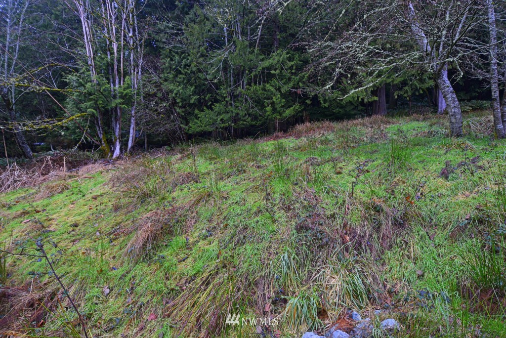 4 Misty Ridge Court Bellingham, WA 98229 - Photo 6 of 6 Gallery Image 6