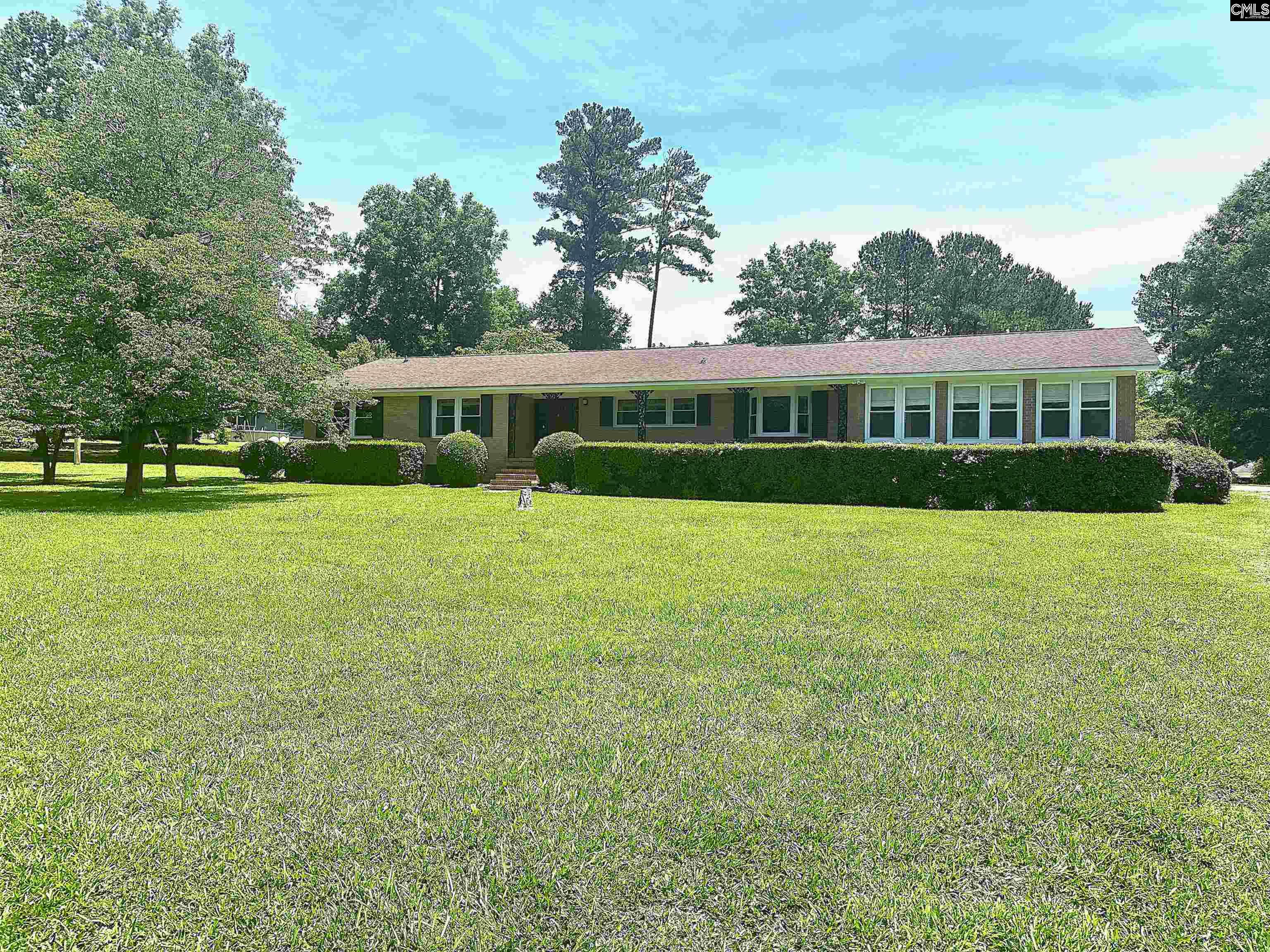 535 Sandbar Road Chapin, SC 29036 - Photo 1 of 23 a view of house with yard and green space