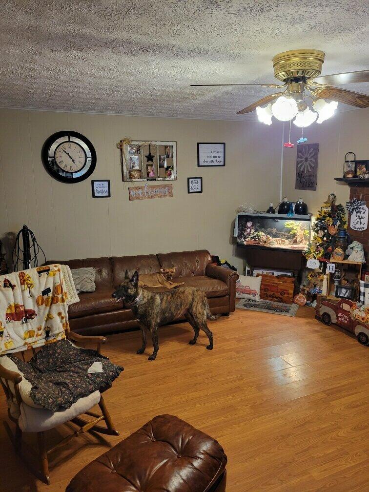 1828 Derby Road Appalachia, VA 24216 - Photo 11 of 25 ISSE6487