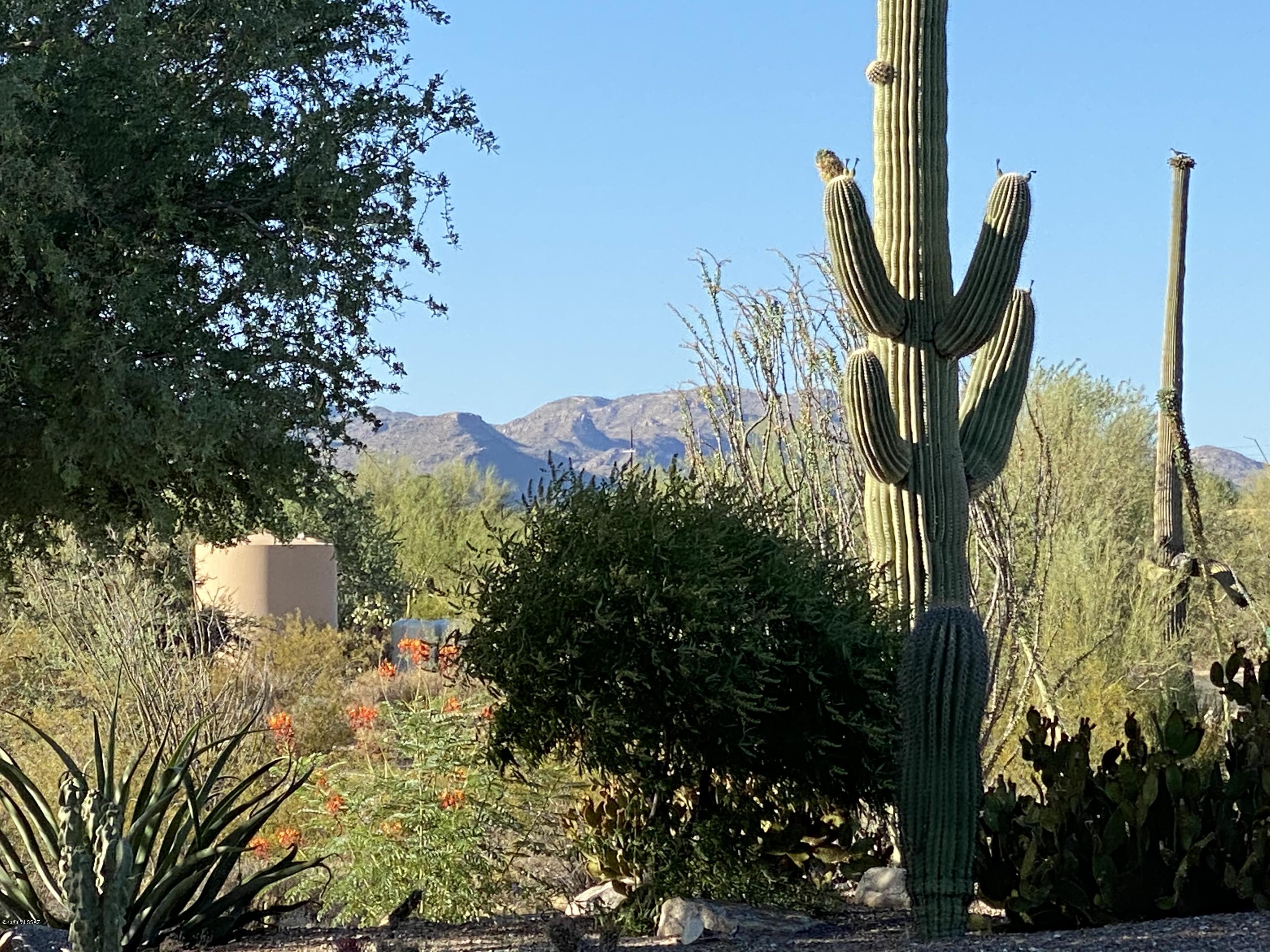 5575 West Oasis Road Tucson, AZ 85742 - Photo 13 of 37 Gallery Image 13
