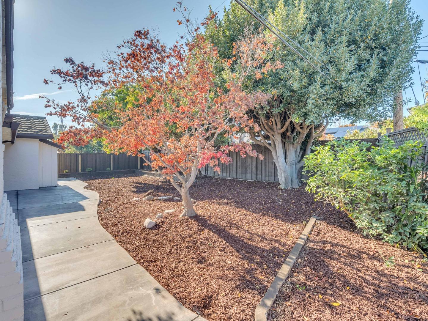 2303 Gunar Drive San Jose, CA 95124 - Photo 33 of 42 a view of a backyard with a garden