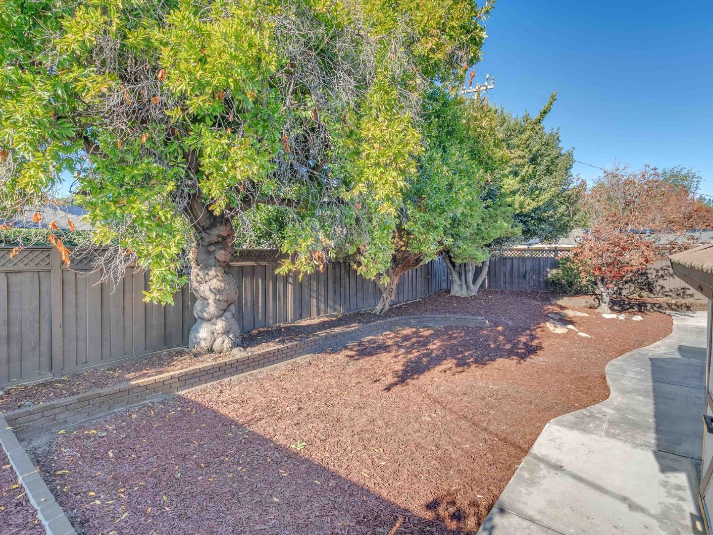 2303 Gunar Drive San Jose, CA 95124 - Photo 34 of 42 a view of a backyard with large trees and wooden fence