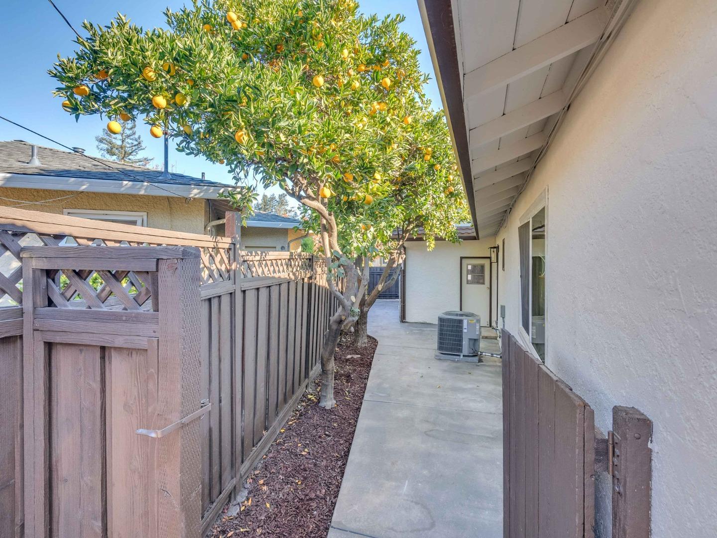 2303 Gunar Drive San Jose, CA 95124 - Photo 39 of 42 a view of a house with a tree