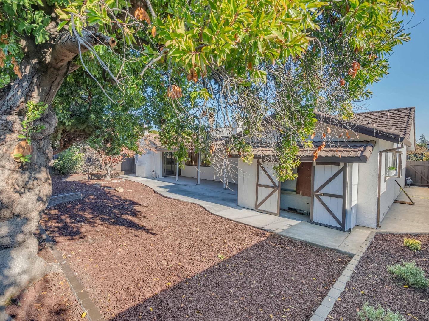 2303 Gunar Drive San Jose, CA 95124 - Photo 40 of 42 a view of a backyard with large trees