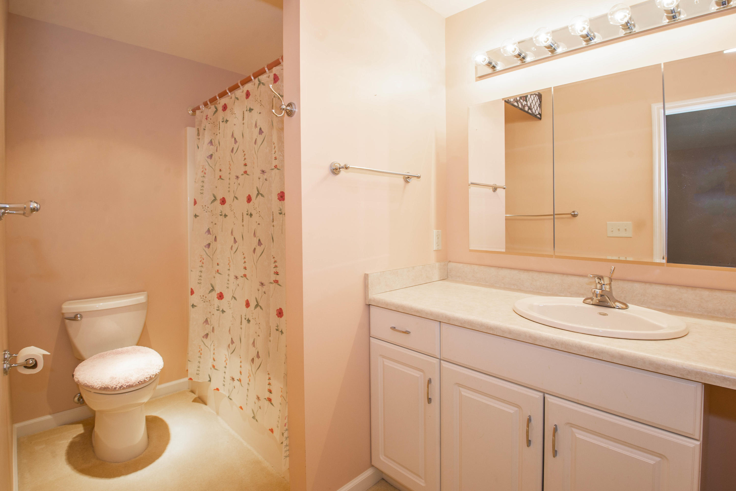 123 Cascade Lane Oak Ridge, TN 37830 - Photo 18 of 37 Master Bath_1