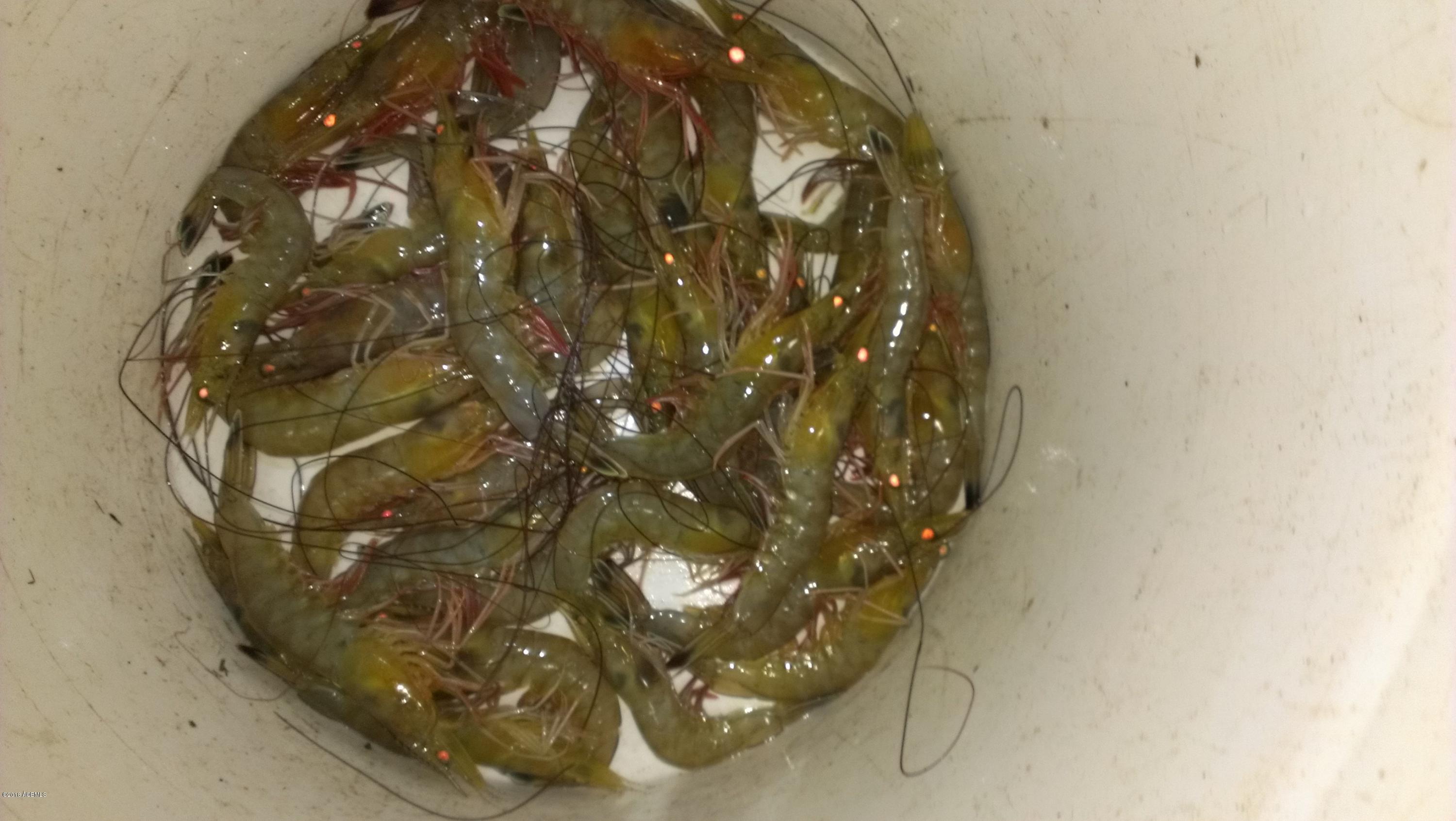 1171 Lands End Road St. Helena Island, SC 29920 - Photo 21 of 24 4 Shrimp