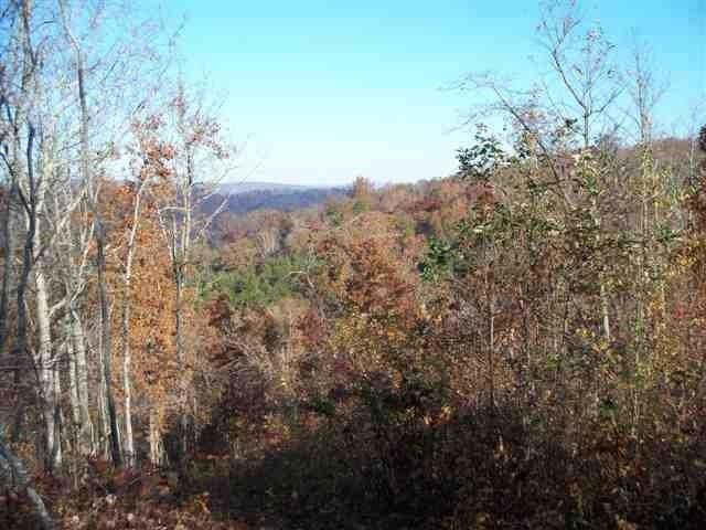 60-acres Euchee Chapel Road Spring City, TN 37381 - Photo 1 of 21 1