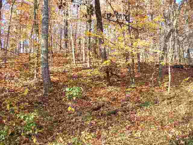 60-acres Euchee Chapel Road Spring City, TN 37381 - Photo 2 of 21 2