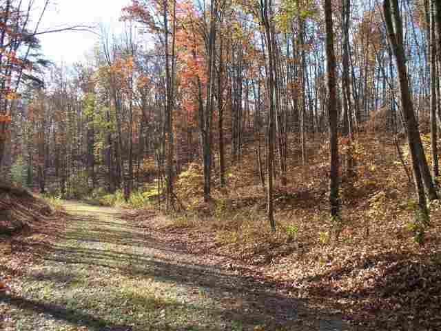60-acres Euchee Chapel Road Spring City, TN 37381 - Photo 11 of 21 12