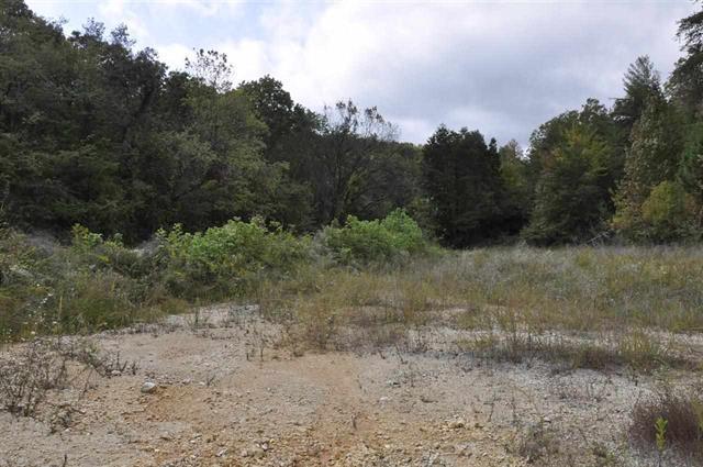 60-acres Euchee Chapel Road Spring City, TN 37381 - Photo 12 of 21 13