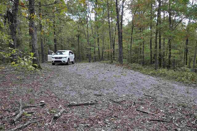 60-acres Euchee Chapel Road Spring City, TN 37381 - Photo 13 of 21 14