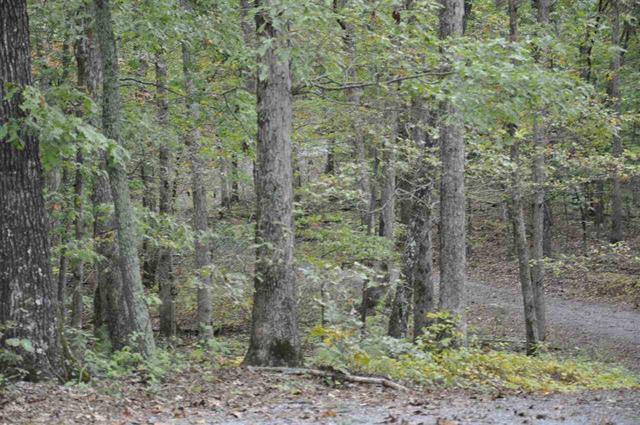 60-acres Euchee Chapel Road Spring City, TN 37381 - Photo 14 of 21 15