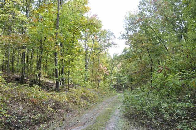 60-acres Euchee Chapel Road Spring City, TN 37381 - Photo 15 of 21 16