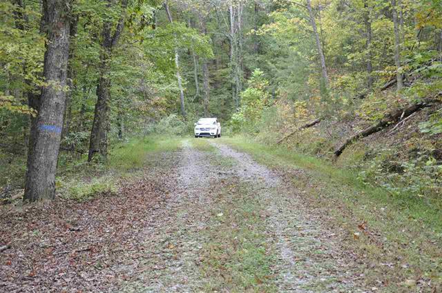 60-acres Euchee Chapel Road Spring City, TN 37381 - Photo 16 of 21 17