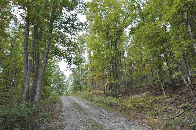 60-acres Euchee Chapel Road Spring City, TN 37381 - Photo 17 of 21 18
