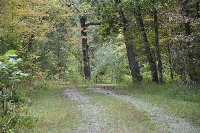 60-acres Euchee Chapel Road Spring City, TN 37381 - Photo 18 of 21 19