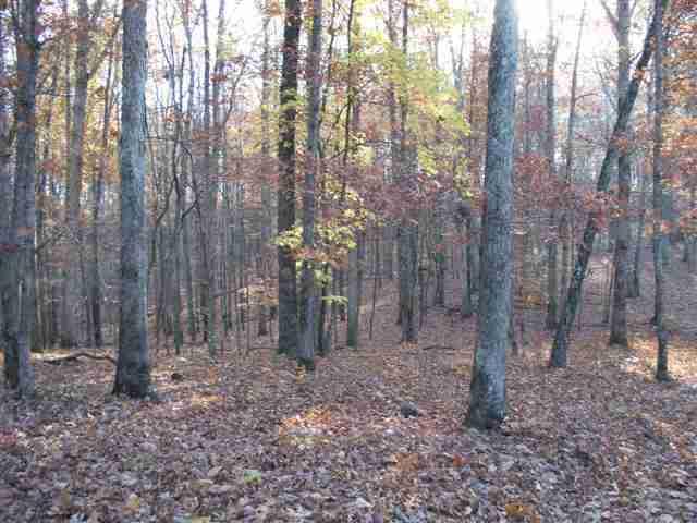 60-acres Euchee Chapel Road Spring City, TN 37381 - Photo 3 of 21 3