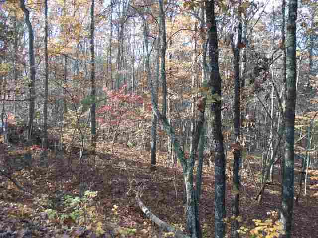 60-acres Euchee Chapel Road Spring City, TN 37381 - Photo 4 of 21 4