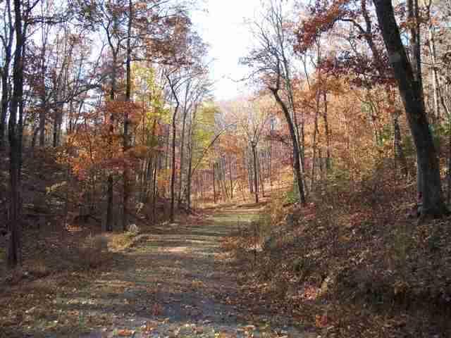60-acres Euchee Chapel Road Spring City, TN 37381 - Photo 5 of 21 5