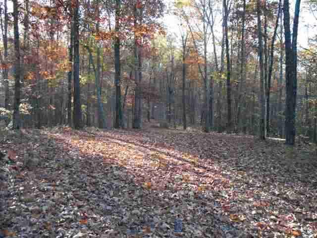 60-acres Euchee Chapel Road Spring City, TN 37381 - Photo 7 of 21 7